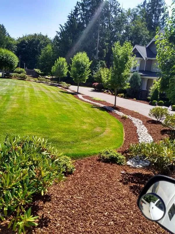 Affordable landscaping services experts serving Shelton, WA - Amigos Landscaping