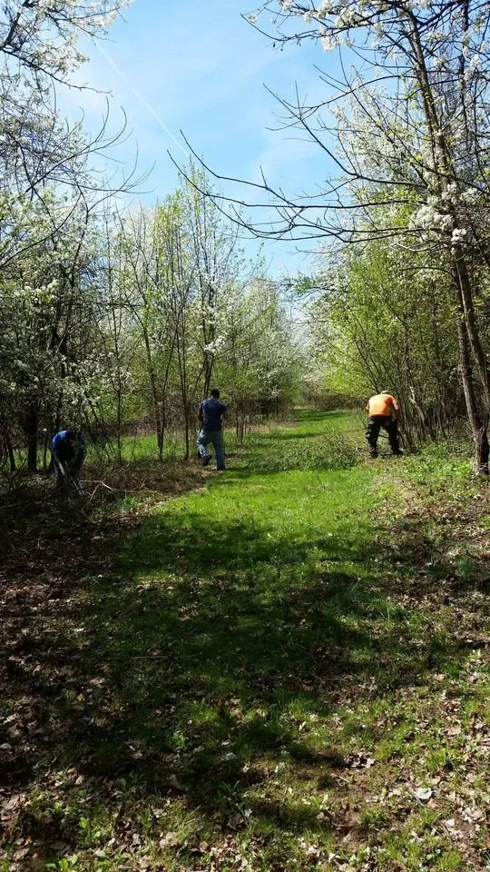Top-rated lawn mowing service experts serving New Oxford, PA - Amigos Lawn Care & Tree Service
