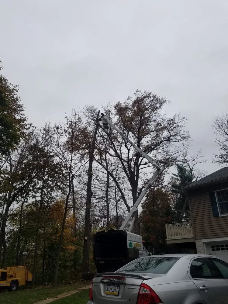 Reliable outdoor landscaping for beautiful yards across New Oxford, PA - Amigos Lawn Care & Tree Service