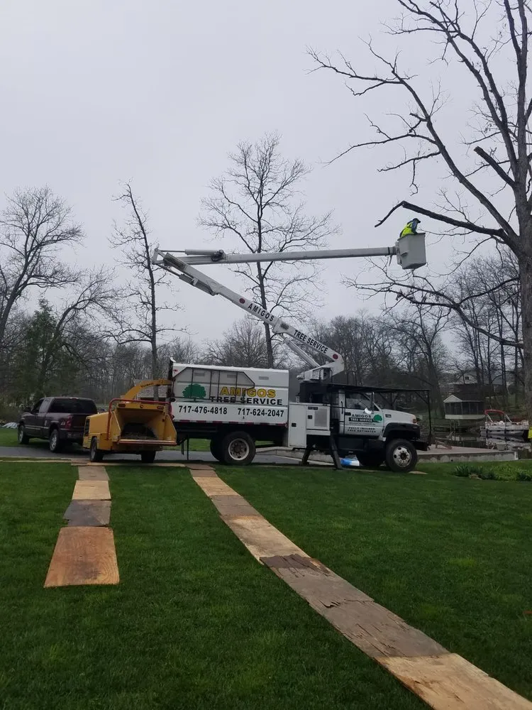 Custom yard cleanup service in New Oxford, PA - Amigos Lawn Care & Tree Service