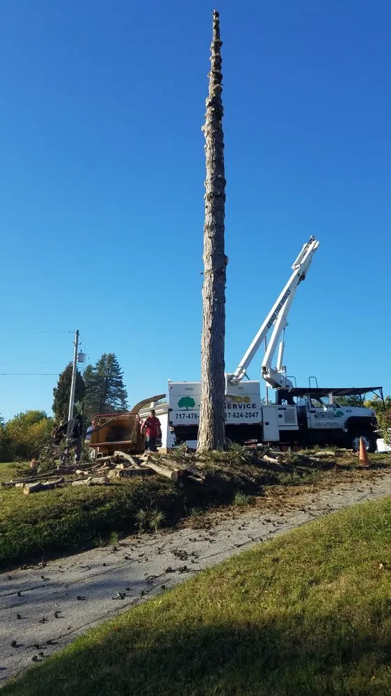 Custom yard cleanup service experts serving New Oxford, PA - Amigos Lawn Care & Tree Service