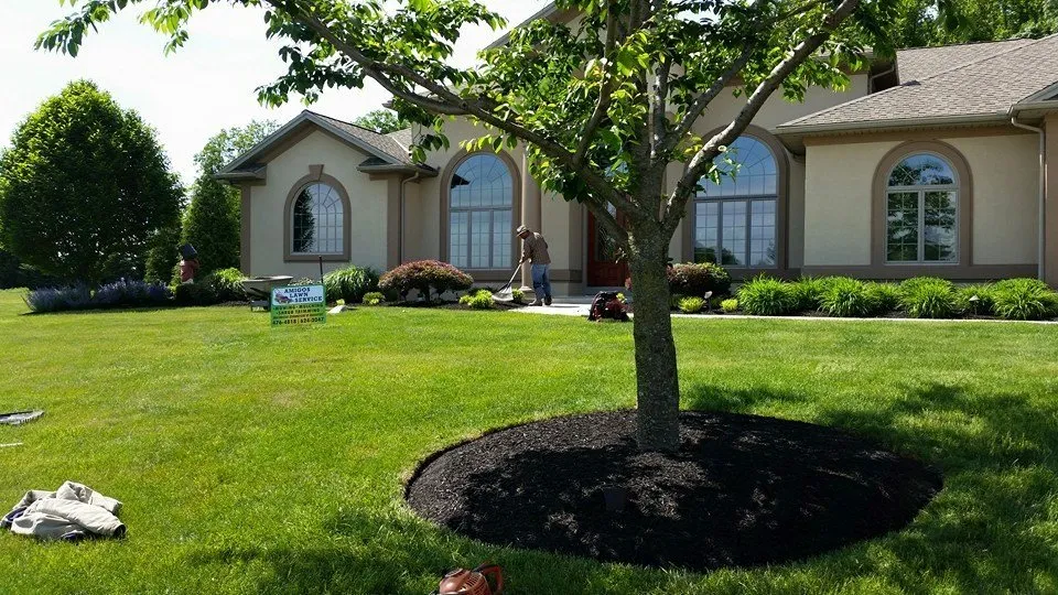 Affordable yard cleanup service in New Oxford, PA by Amigos Lawn Care & Tree Service