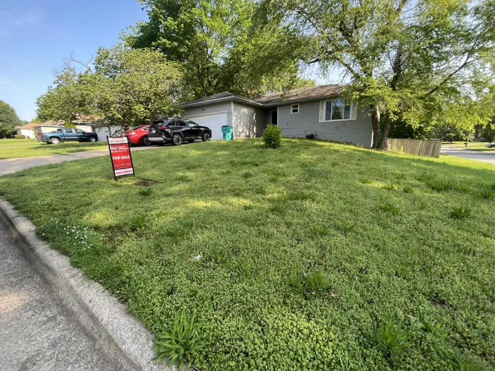 Local yard maintenance for beautiful yards across Springfield, MO - Amigos Lawn Care