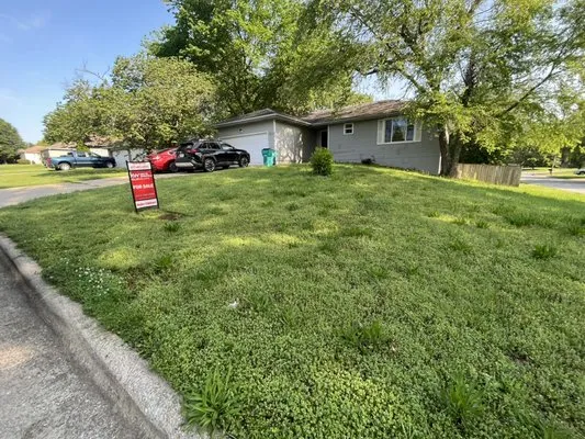 Amigos Lawn Care Logo