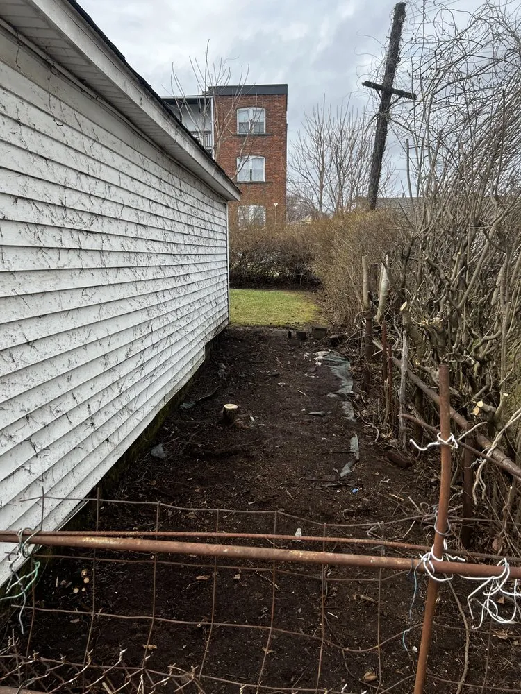 Professional yard maintenance for homes in Waterbury, CT by Amigos Lawn Care