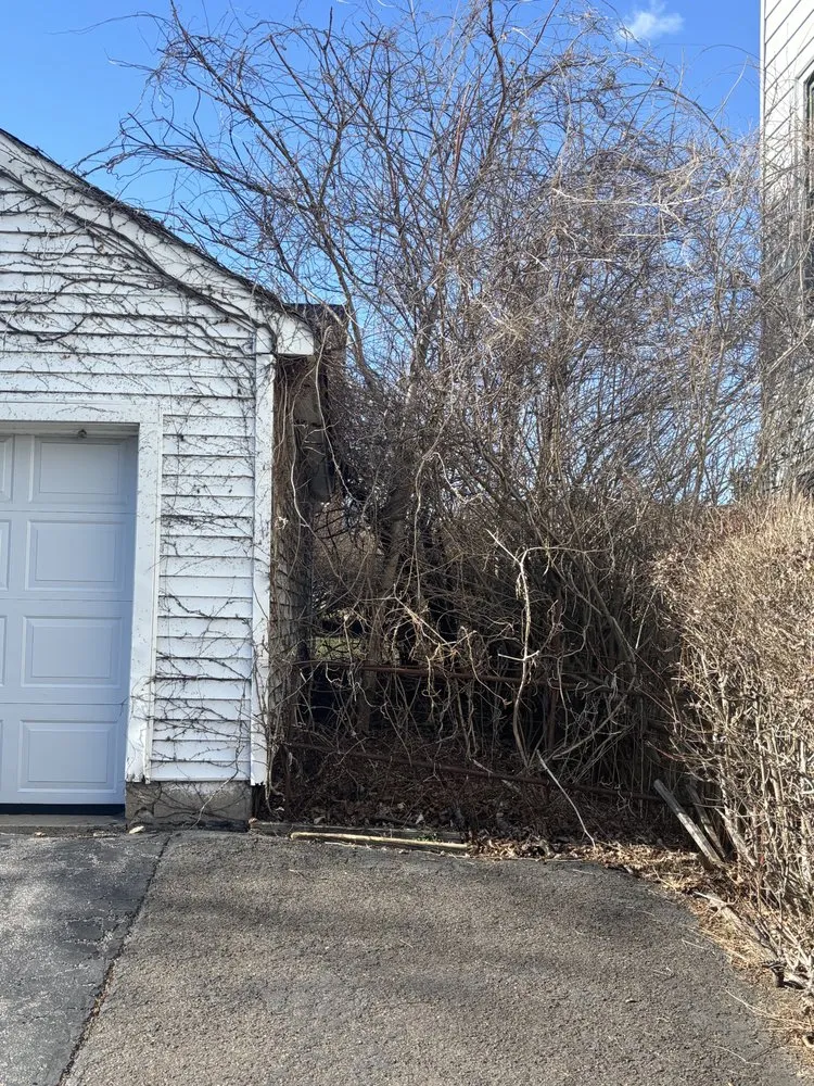 Professional landscaping services near you across Waterbury, CT - Amigos Lawn Care