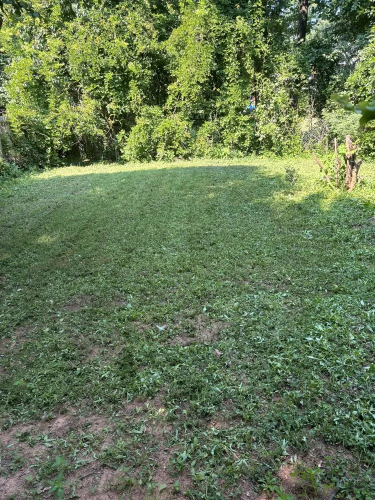 Top-rated landscaping services for homes across Lawrenceville, GA - Amigos Lawncare