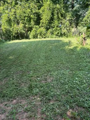 Amigos Lawncare Logo