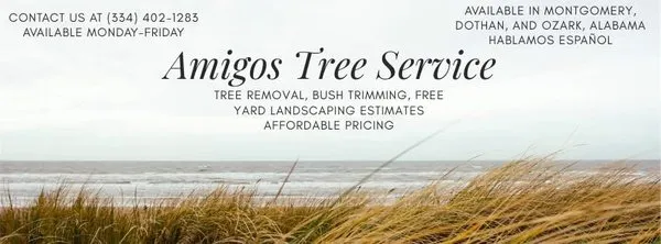 Amigos Tree Service