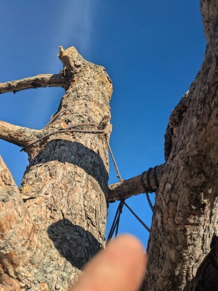 Top-rated garden landscaping experts serving Sparks, NV - Amilli Handyman Services