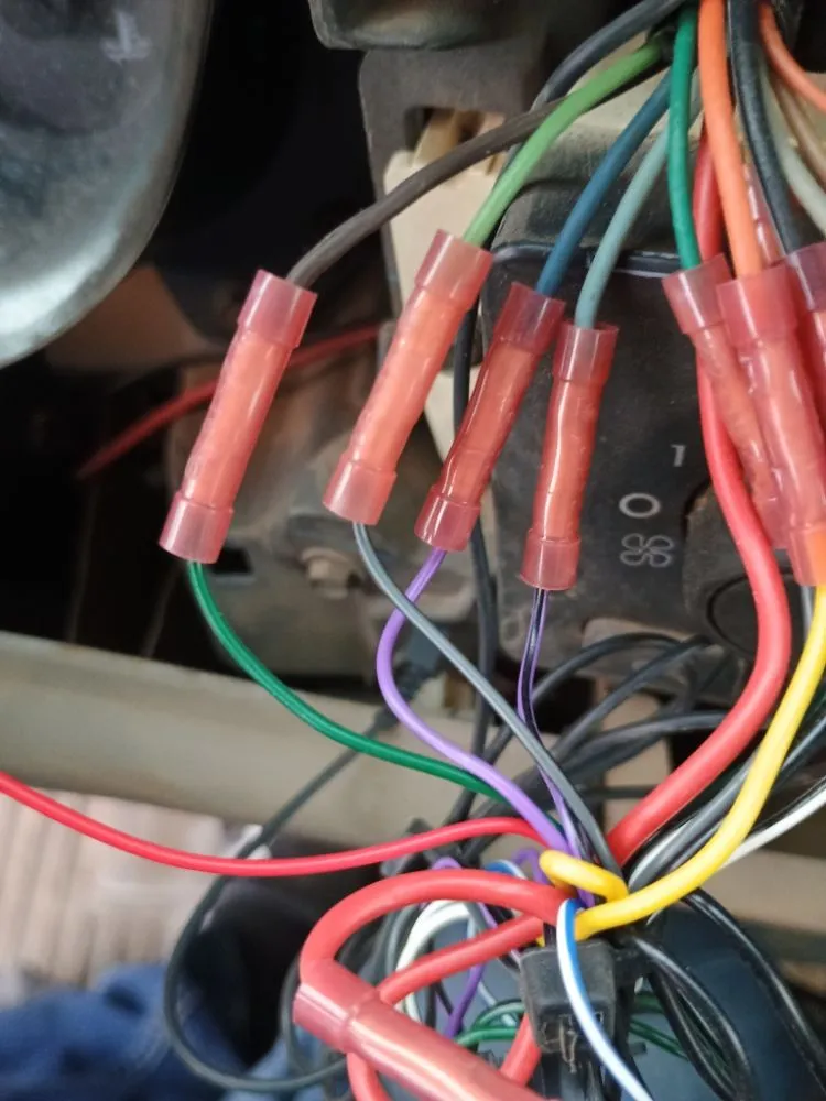 Professional yard cleanup service experts serving Sparks, NV - Amilli Handyman Services