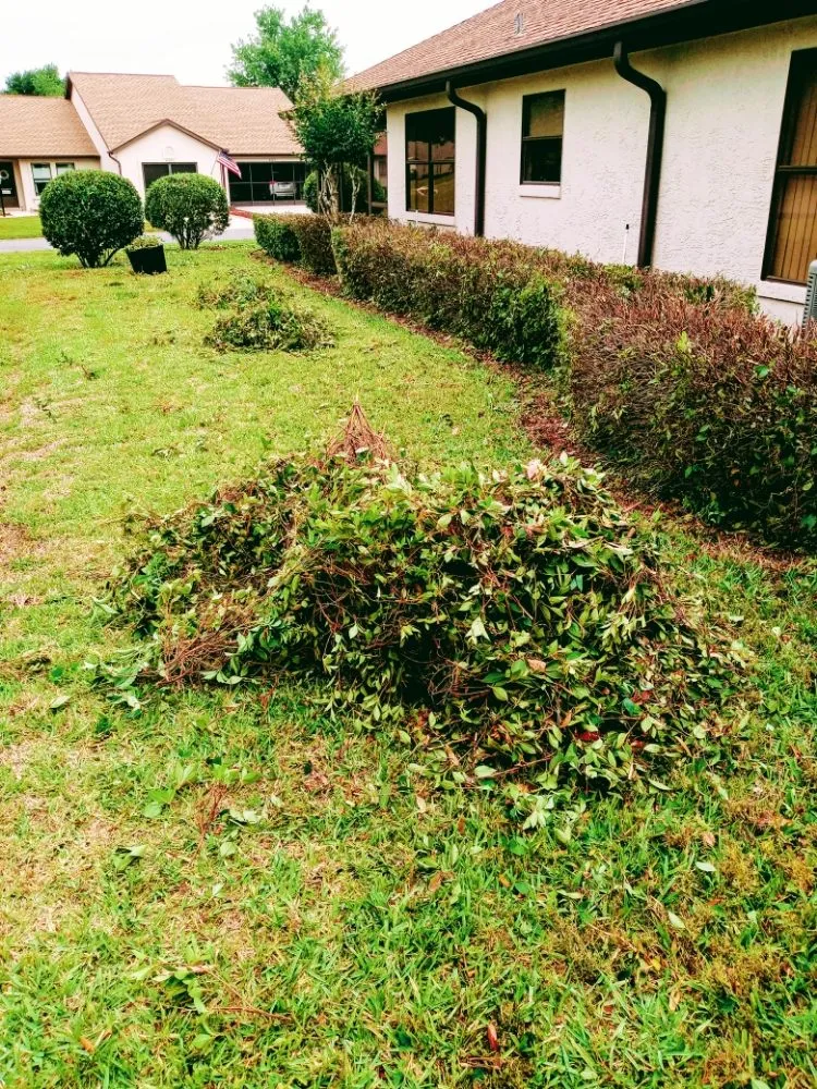Custom yard cleanup service in Homosassa Springs, FL by Amira's Landscape And Flowers