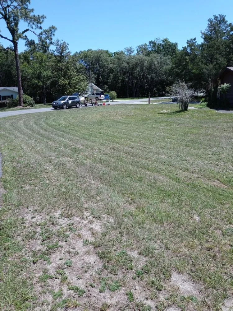 Reliable garden landscaping in Homosassa Springs, FL - Amira's Landscape And Flowers