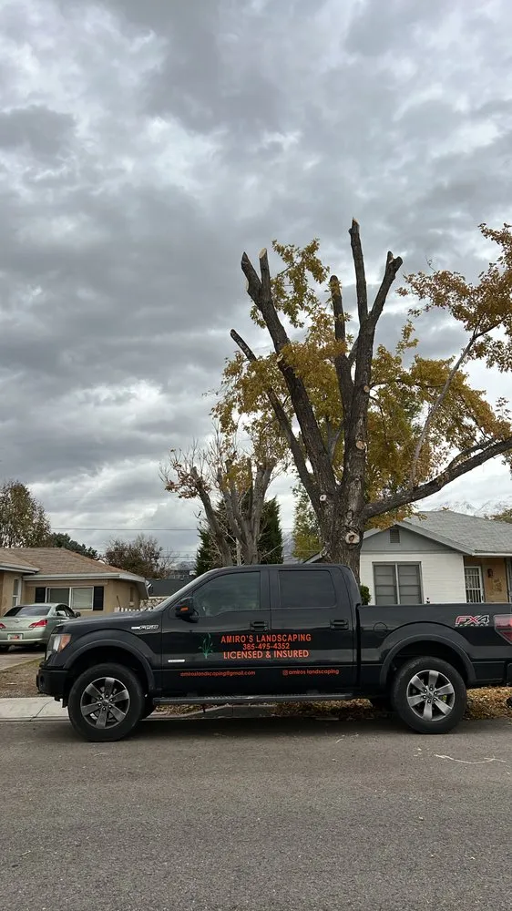 Trusted garden landscaping for outdoor upgrades across Orem, UT - Amiro Landscaping