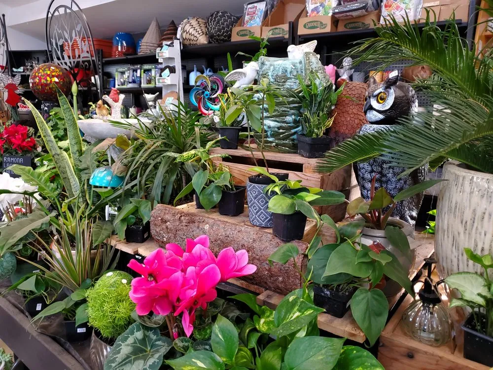 Expert residential landscaping in Bethany, CT - Amity Gardens Center LLC