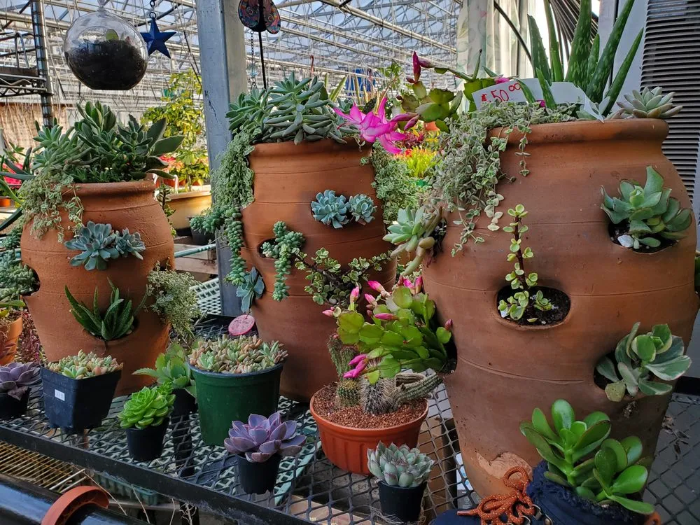 Custom lawn care service for year-round maintenance across Bethany, CT - Amity Gardens Center LLC