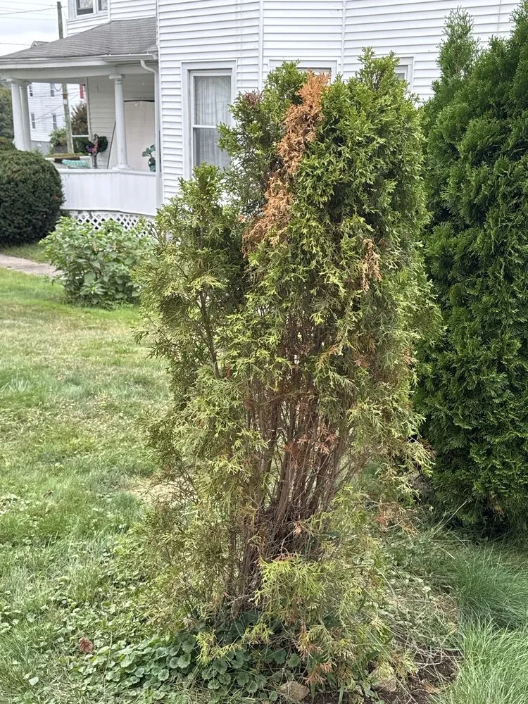 Top-rated outdoor landscaping experts serving Bethany, CT - Amity Gardens Center LLC