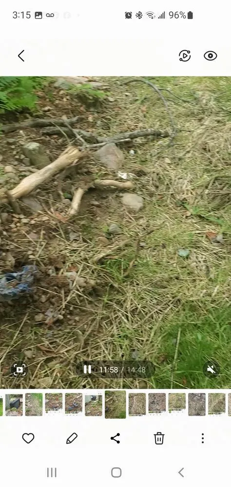 Custom yard maintenance for year-round maintenance in Stroudsburg, PA by AMJ Property Management & General Contracting