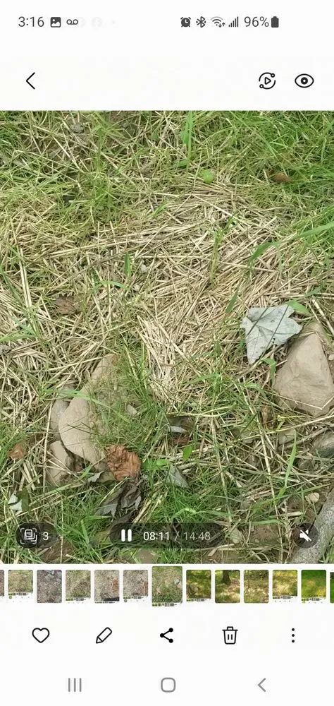 Trusted outdoor landscaping experts serving Stroudsburg, PA - AMJ Property Management & General Contracting