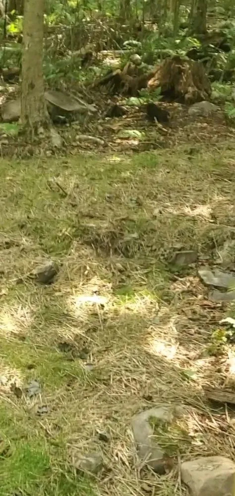 Expert landscape design in Stroudsburg, PA - AMJ Property Management & General Contracting