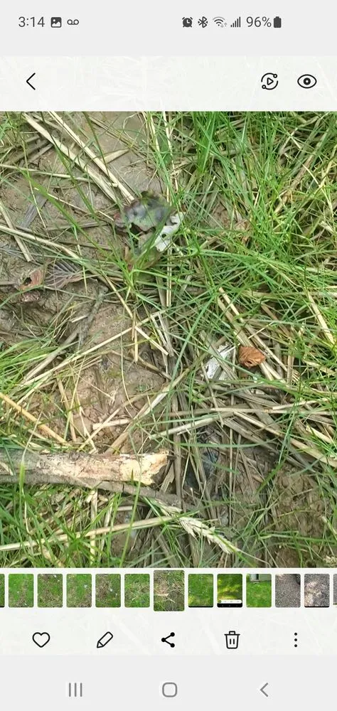 Affordable landscape design for residential properties in Stroudsburg, PA by AMJ Property Management & General Contracting