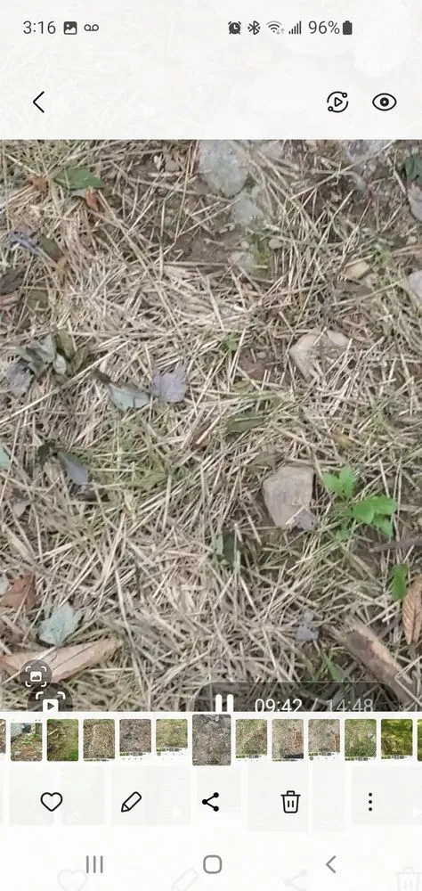 Custom yard cleanup service for year-round maintenance across Stroudsburg, PA - AMJ Property Management & General Contracting