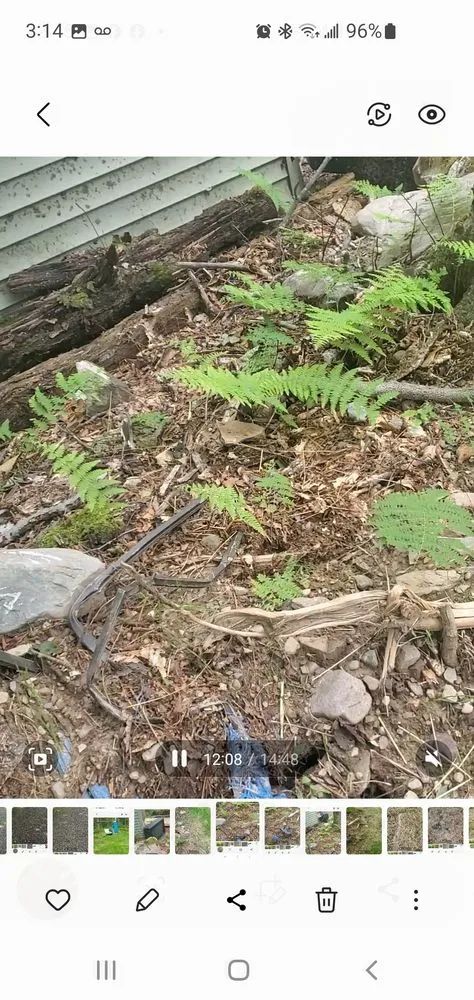 Top-rated garden landscaping in Stroudsburg, PA - AMJ Property Management & General Contracting