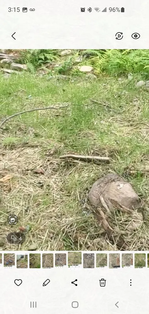 Top-rated outdoor landscaping for outdoor upgrades across Stroudsburg, PA - AMJ Property Management & General Contracting