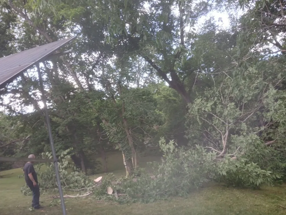 Expert landscaping services in Springfield, MO by AMK Lawn & Creations