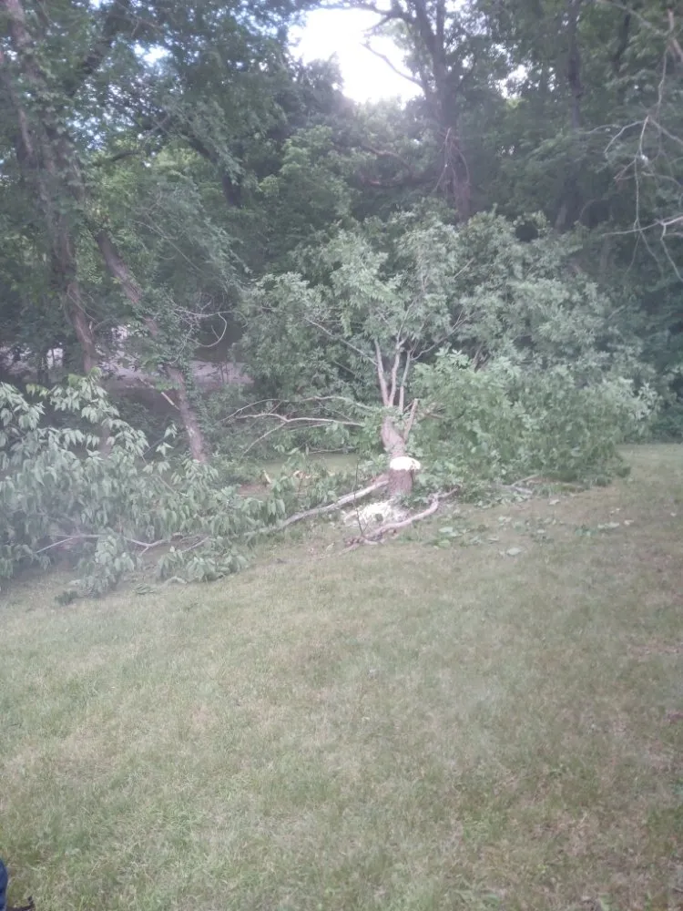 Affordable landscape installation for outdoor upgrades in Springfield, MO by AMK Lawn & Creations