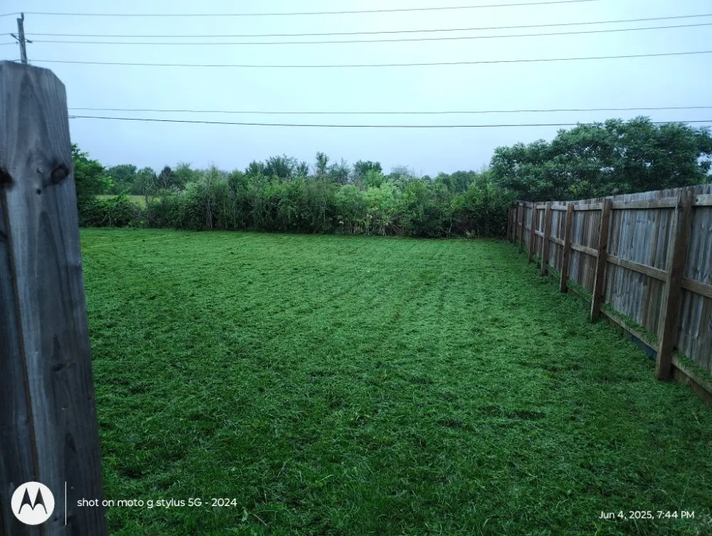 Expert outdoor landscaping experts serving Springfield, MO - AMK Lawn & Creations