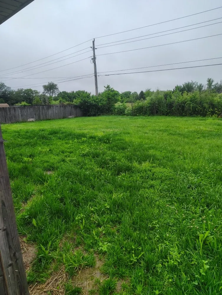 Reliable yard cleanup service experts serving Springfield, MO - AMK Lawn & Creations