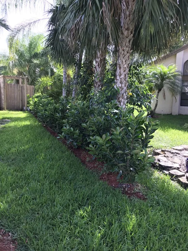 Reliable landscaping services with custom design in Coconut Creek, FL by AMKO Lawn & Landscaping