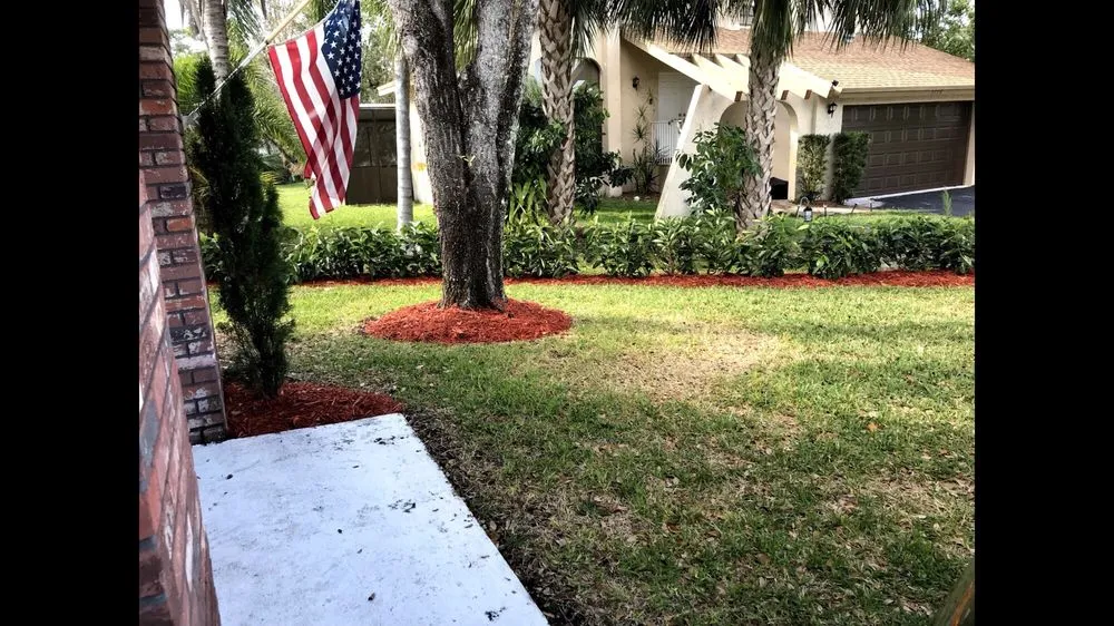 Professional outdoor landscaping with custom design across Coconut Creek, FL - AMKO Lawn & Landscaping