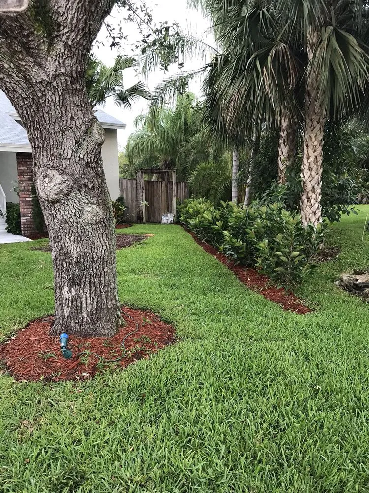 Reliable yard cleanup service near you in Coconut Creek, FL by AMKO Lawn & Landscaping