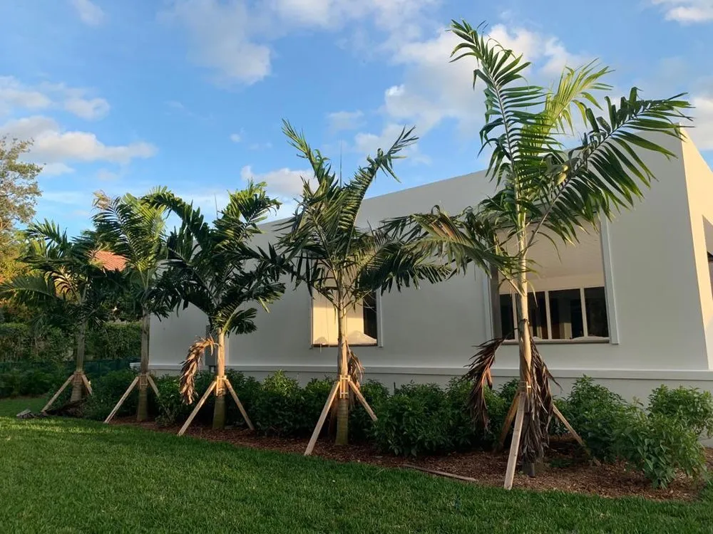 Custom landscaping services in North Miami, FL by AML Exterior Decorators