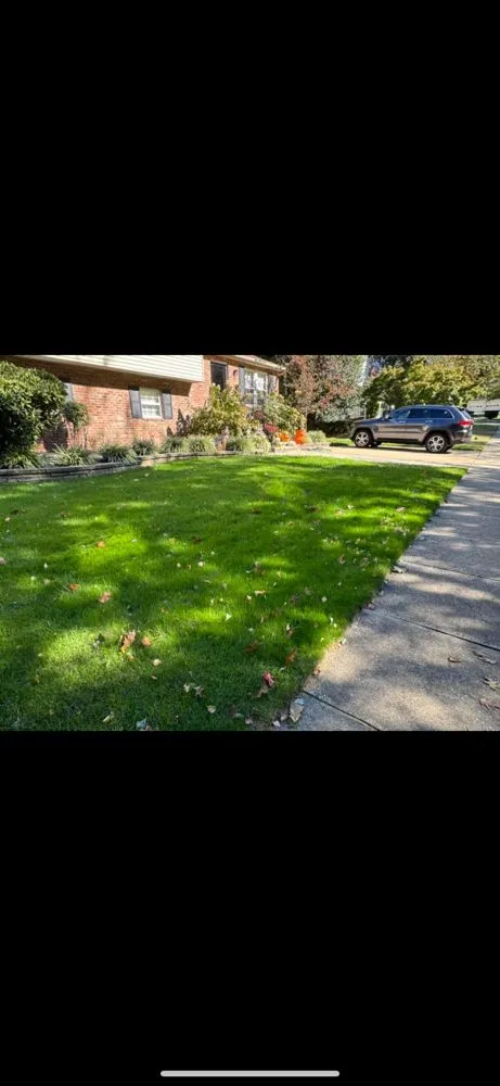 Trusted yard maintenance for beautiful yards across Severna Park, MD - AmLandcare