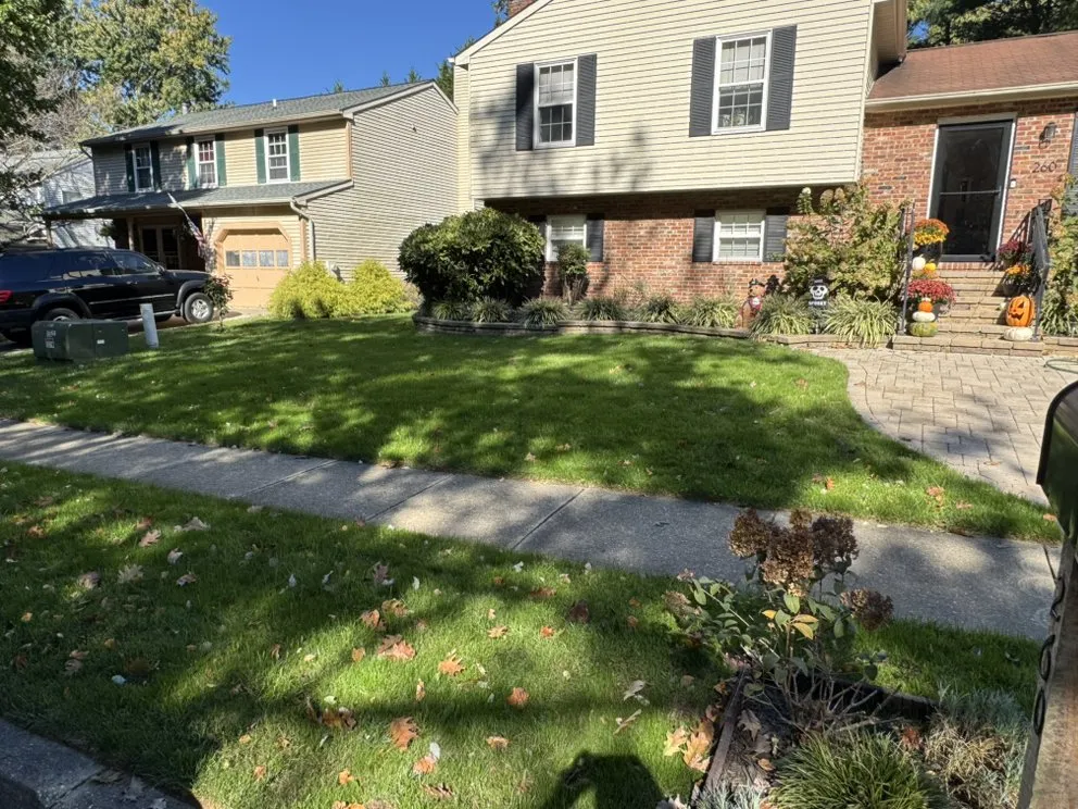 Top-rated lawn care service in Severna Park, MD - AmLandcare