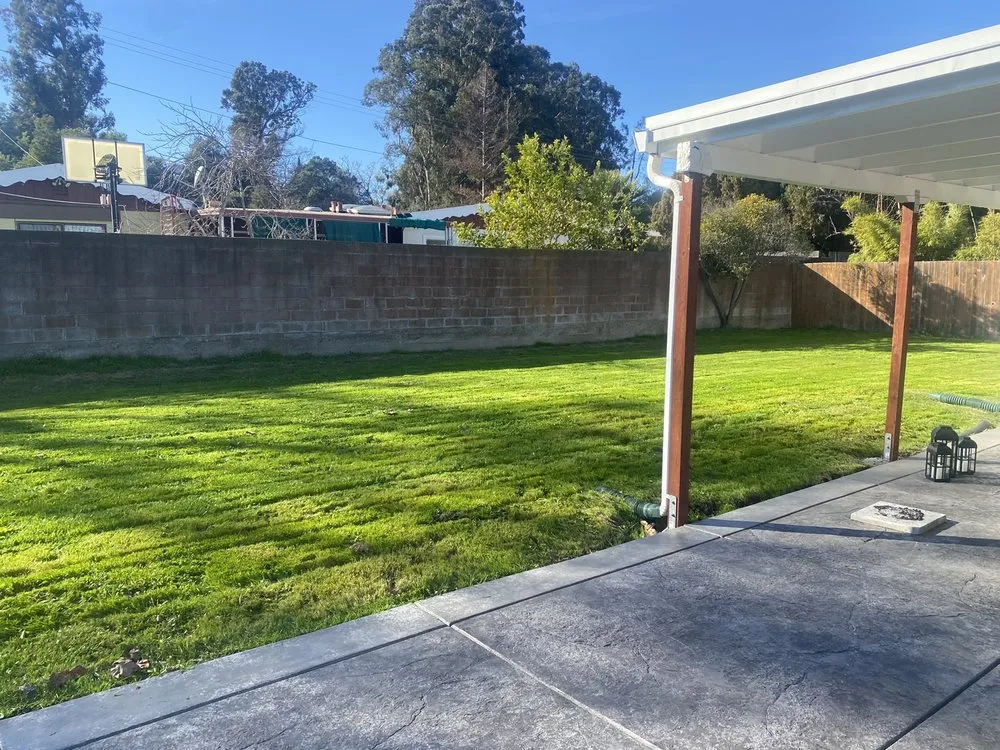 Local outdoor landscaping for year-round maintenance in Hercules, CA by A&MLandscaping