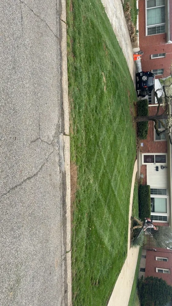Reliable yard maintenance in Louisville, KY - AMLawnCare