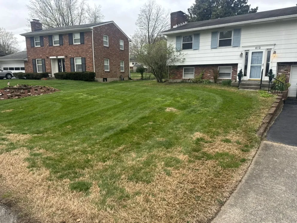 Professional landscape design in Louisville, KY by AMLawnCare