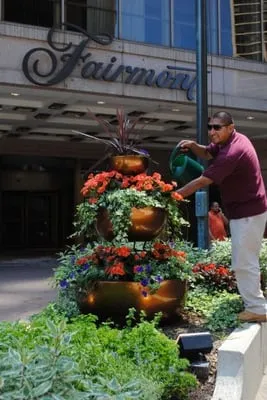 Amlings Interior Landscape Logo