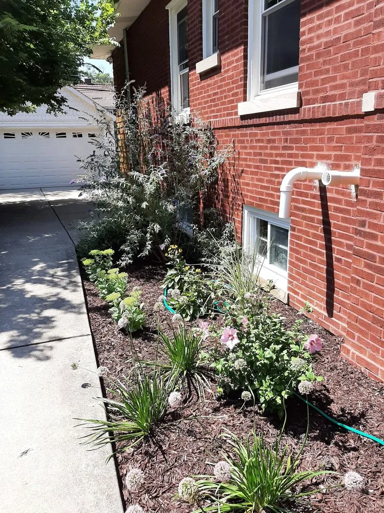 Expert yard cleanup service in Mt. Prospect, IL - Amliv Land Designs