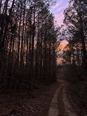 AMM Contractors Logo