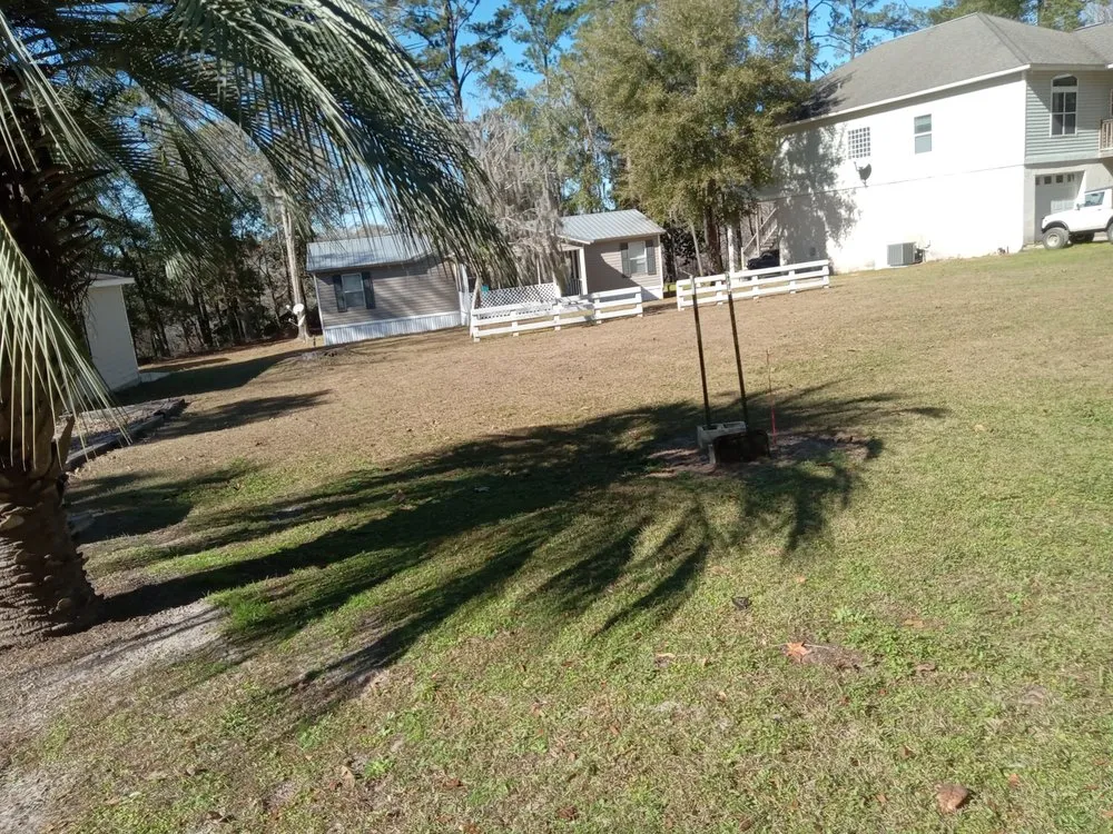 Top-rated landscaping services for residential properties in Hortense, GA by Ammons Landscaping