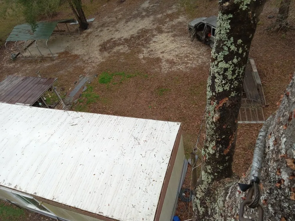 Local outdoor landscaping in Hortense, GA by Ammons Landscaping