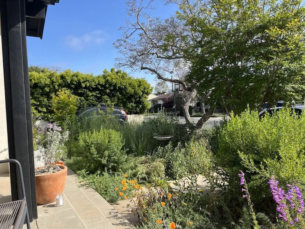 Local garden landscaping for year-round maintenance in Los Angeles, CA by Amongst the Flora