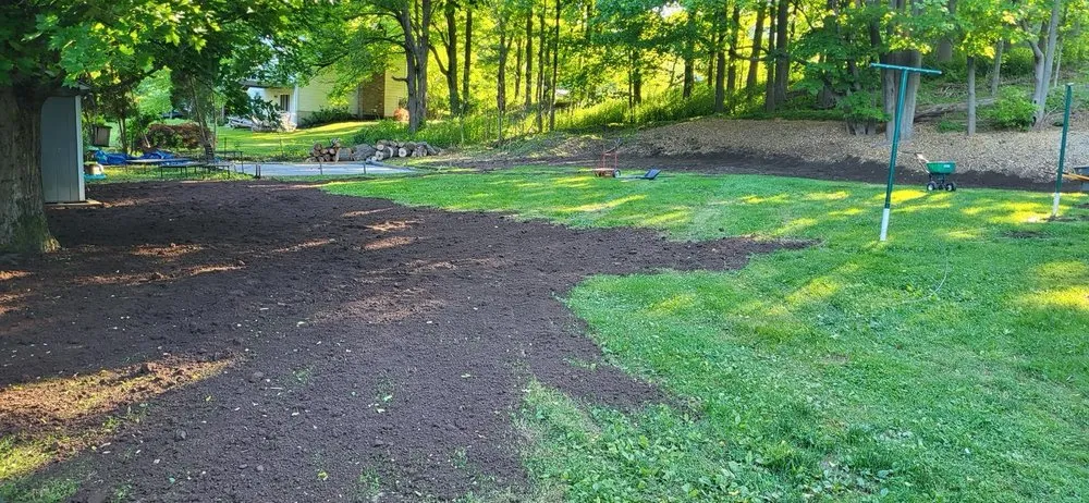 Expert lawn care service experts serving New Haven, CT - Amorales Landscaping