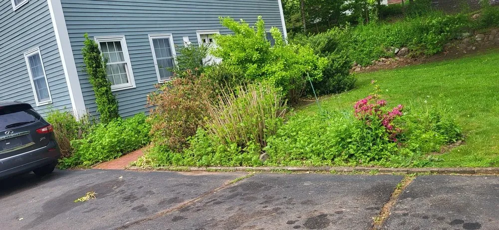 Expert landscape design in New Haven, CT - Amorales Landscaping