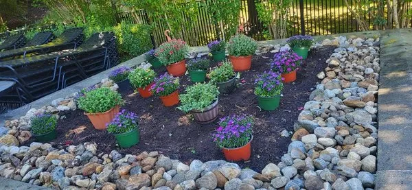 Amorales Landscaping